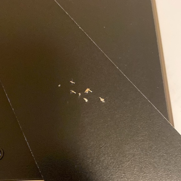 White Frame Wall Mount, Tabletop 5x7. GUC - Picture 4 of 5